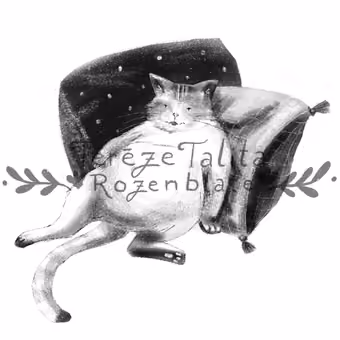 Illustration